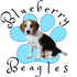 Blueberry Beagles